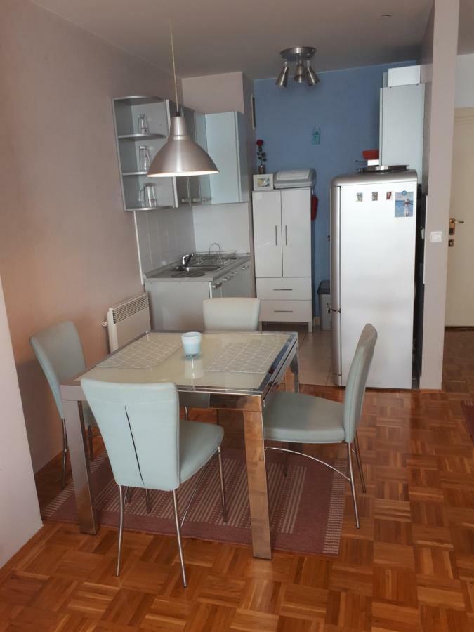 Apartment Hana ツリクヴェニツァ エクステリア 写真